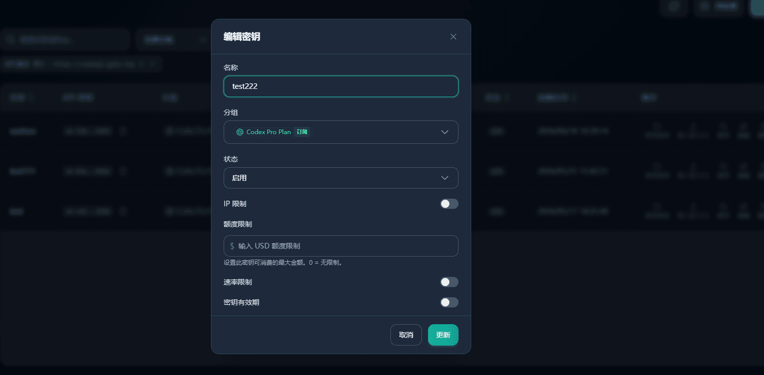 Code API 控制台的 API Key 设置界面